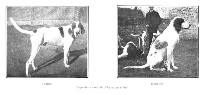 Tiré de l'ouvrage L'Equipage du marquis de Chambray par Maurice de Gasté (1926) - 207